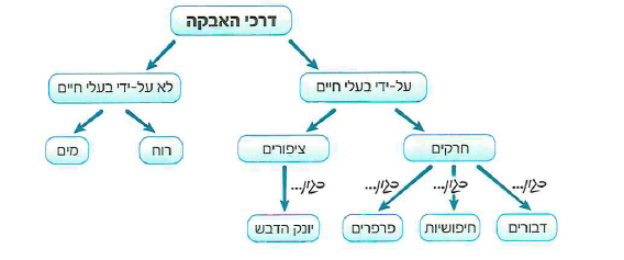 (בספר 2 תמונות)
